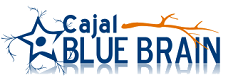 Cajal Blue Brain